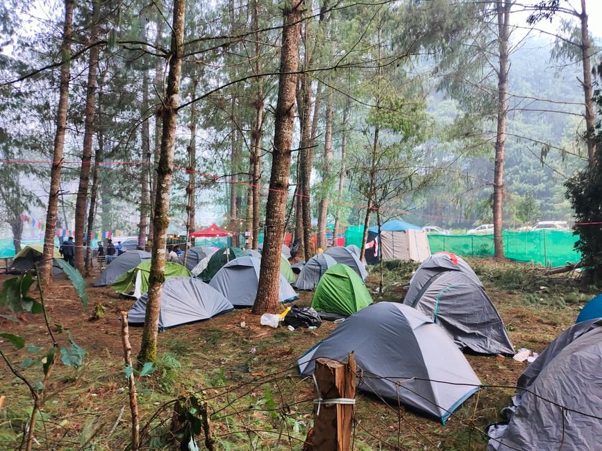 campsite tent trees